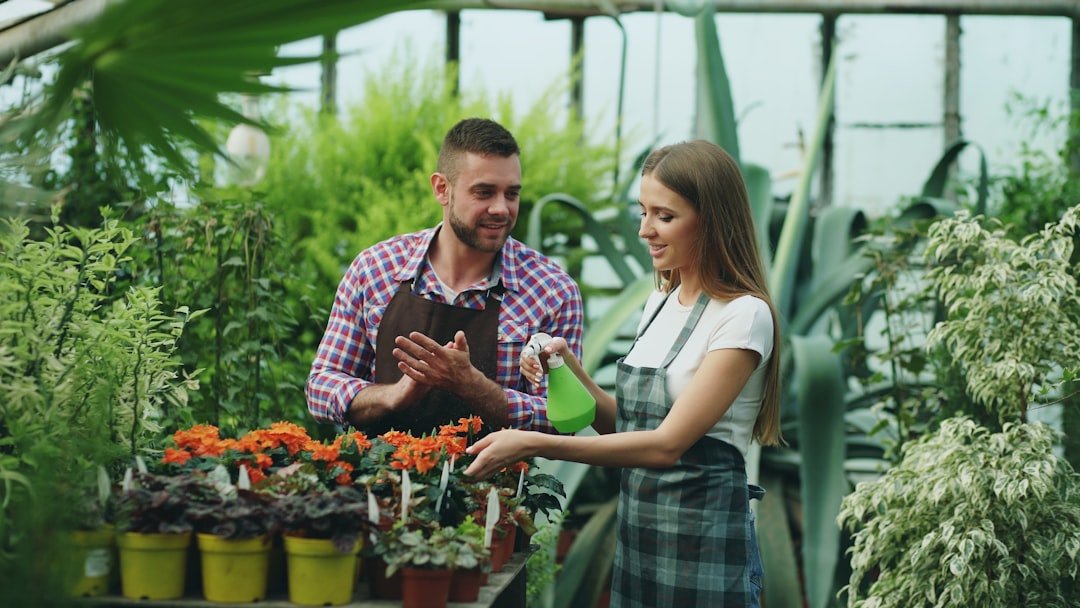 Attractive couple work in greenhouse. Woman gardener in apron watering plants with garden sprayer while her husband talking him